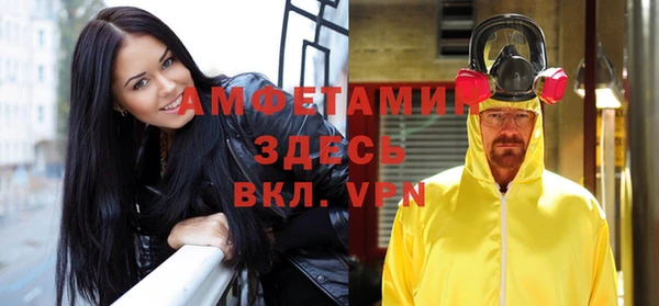 шишки Магас