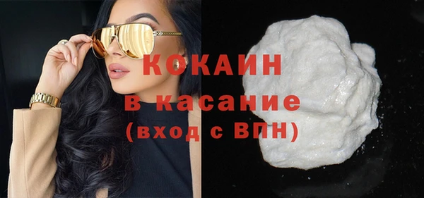 шишки Магас