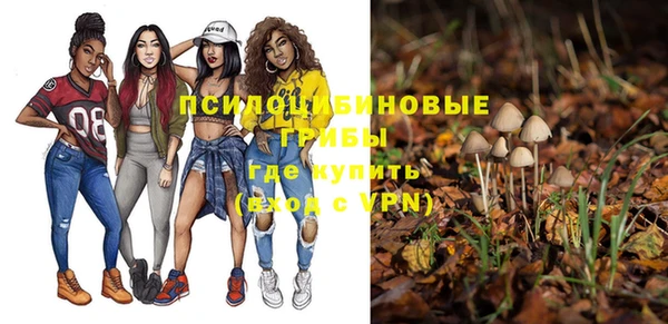 шишки Магас