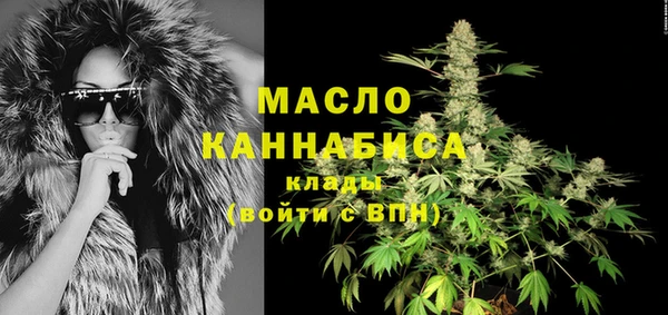 шишки Магас