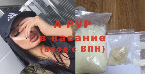 шишки Магас