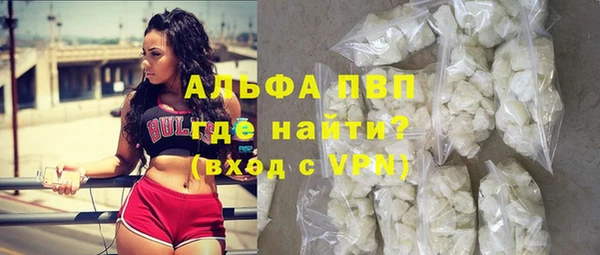 шишки Магас