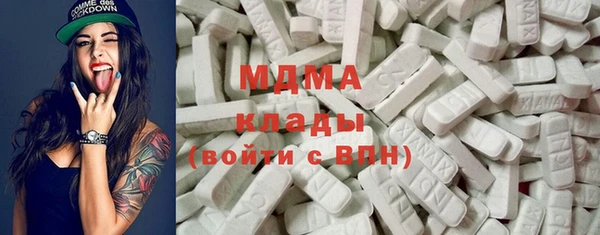 шишки Магас
