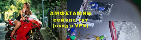 шишки Магас