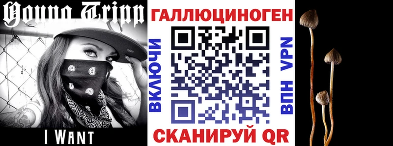 цены   Фатеж  Галлюциногенные грибы мухоморы 